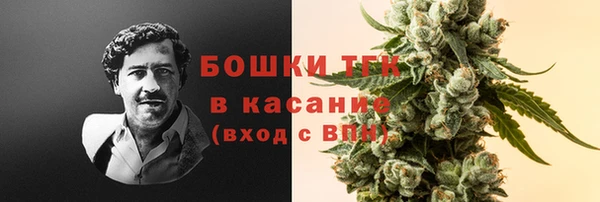ALPHA-PVP Елизово