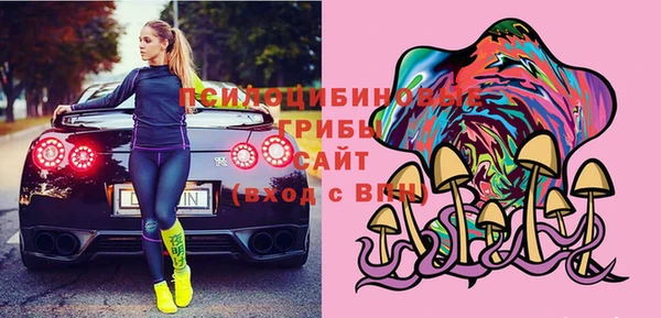 прущая мука Елабуга