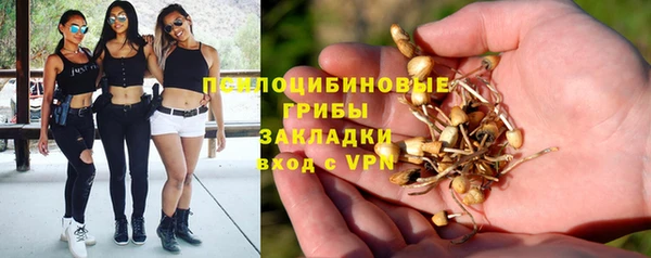 ALPHA-PVP Елизово